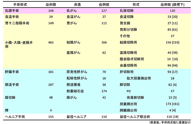 2017年 診療実績