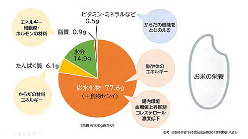 お米の栄養