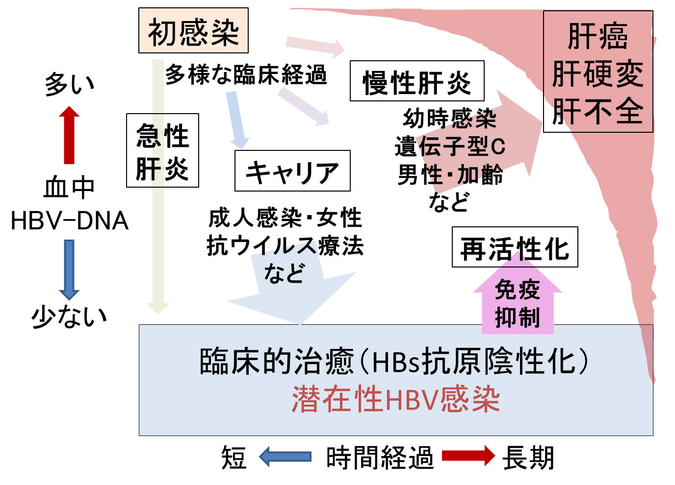 乳児のB型肝炎の治療法は何ですか?